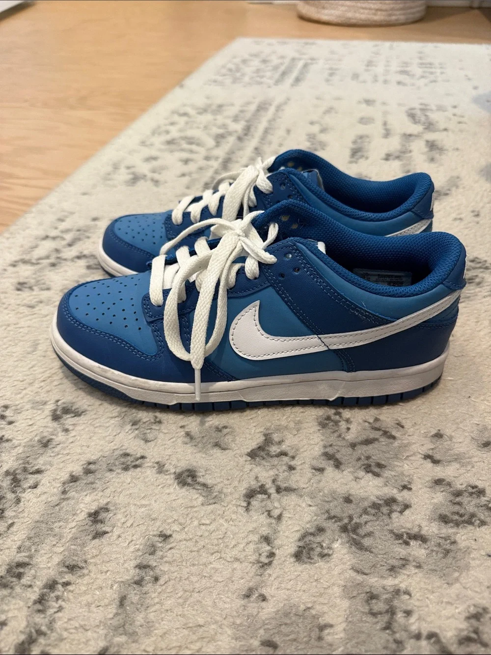 Nike Blue and White Low-Top Sneakers